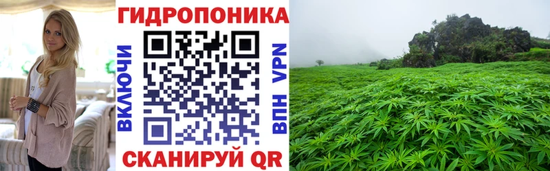 продажа наркотиков Брянск Бошки марихуана Bruce Banner